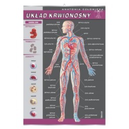 Plansza dydaktyczna - układ...